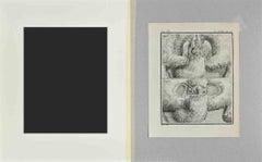 Hare Anatomy - Etching by Jacques De Sève - 1771