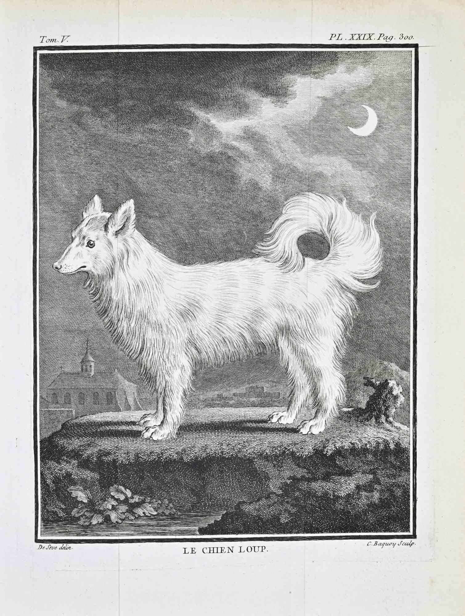 Jacques de Seve Figurative Print - Le Chien Loup - Etching by Jacques de Sève- 1771