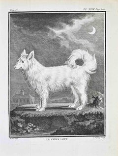 Le Chien Loup - Radierung von Jacques de Sève - 1771