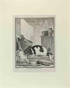 Le Lapin Domestique - Gravure de Jacques De sève - 1771