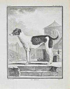 Le Mâtin - Etching by Jacques de Sève - 1771