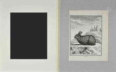 Le Riche - Etching by Jacques De Sève - 1771