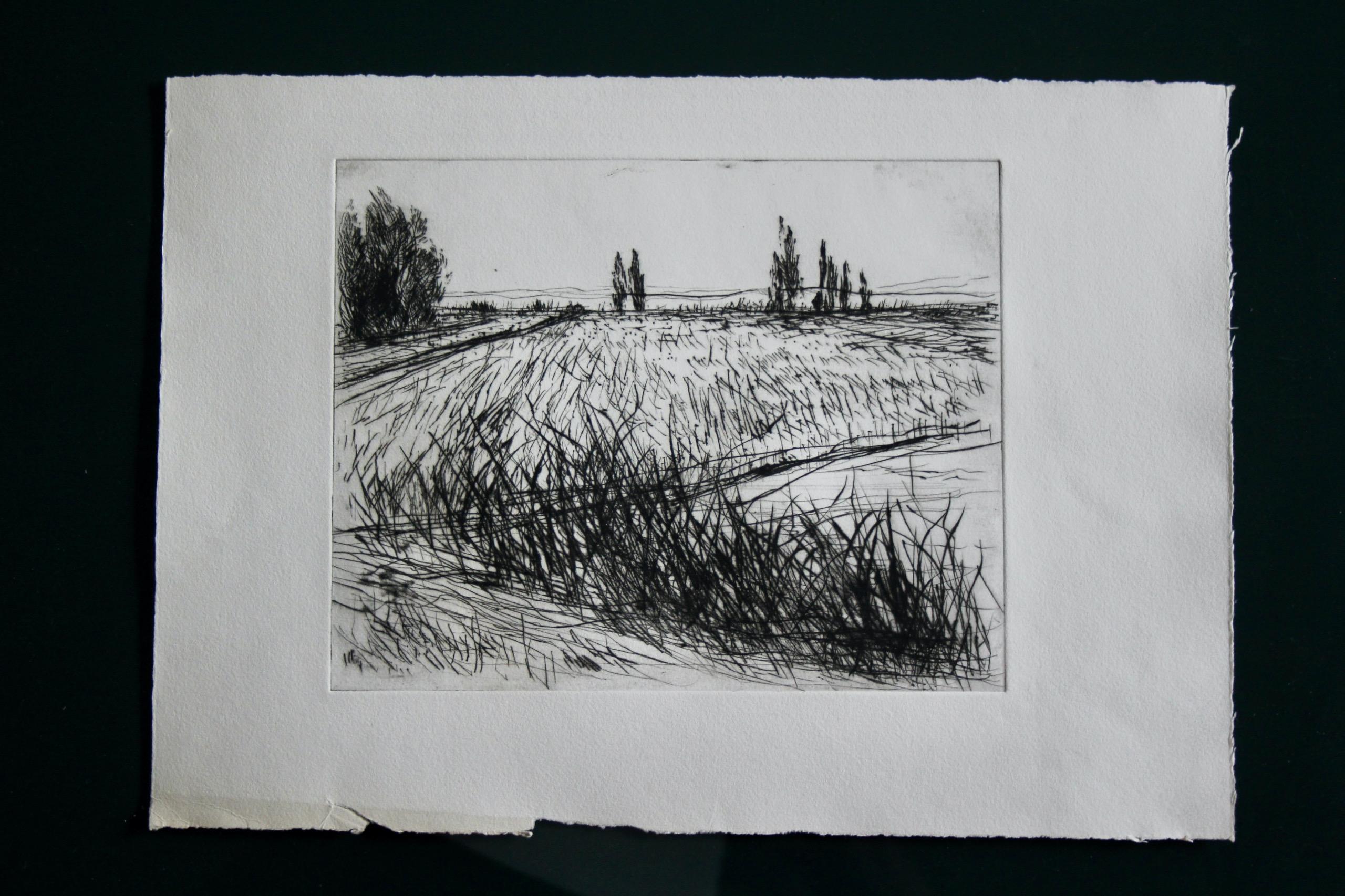 Jacques deperthes litografia circa 1970 