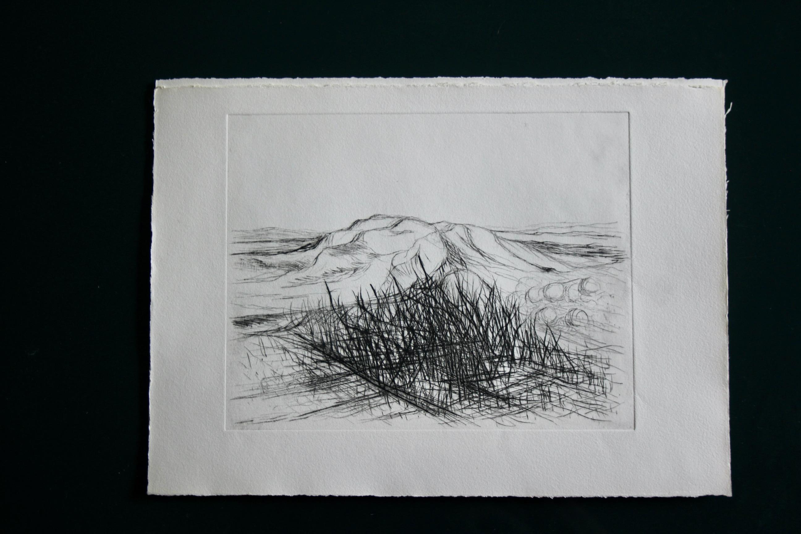 Jacques deperthes lithographie circa 1970 