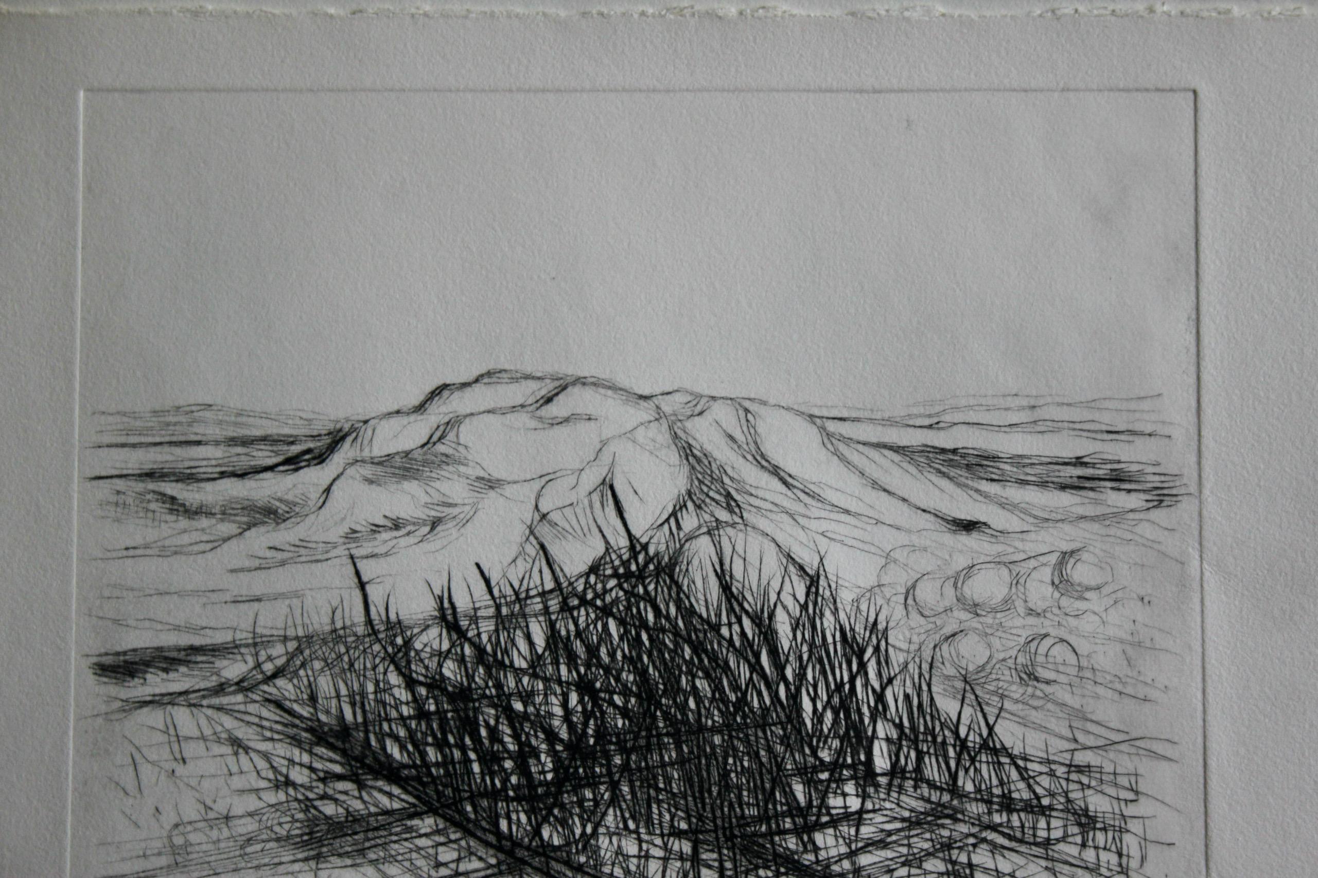 Jacques deperthes lithographie circa 1970 Bon état - En vente à grand Lancy, CH