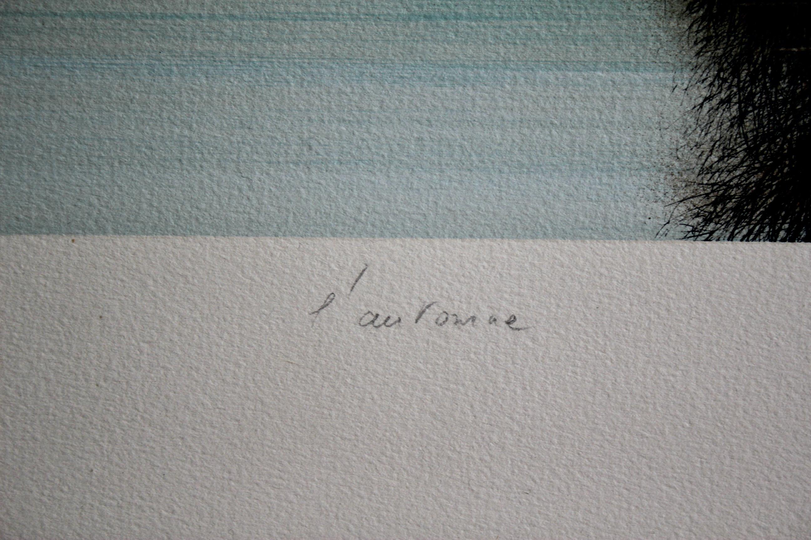 Jacques deperthes lithographie circa 1970 Bon état - En vente à grand Lancy, CH