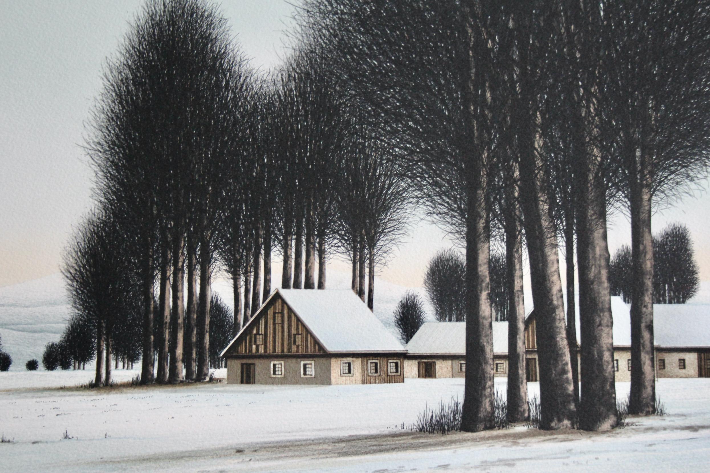 Jacques deperthes lithographie circa 1970 en vente 1