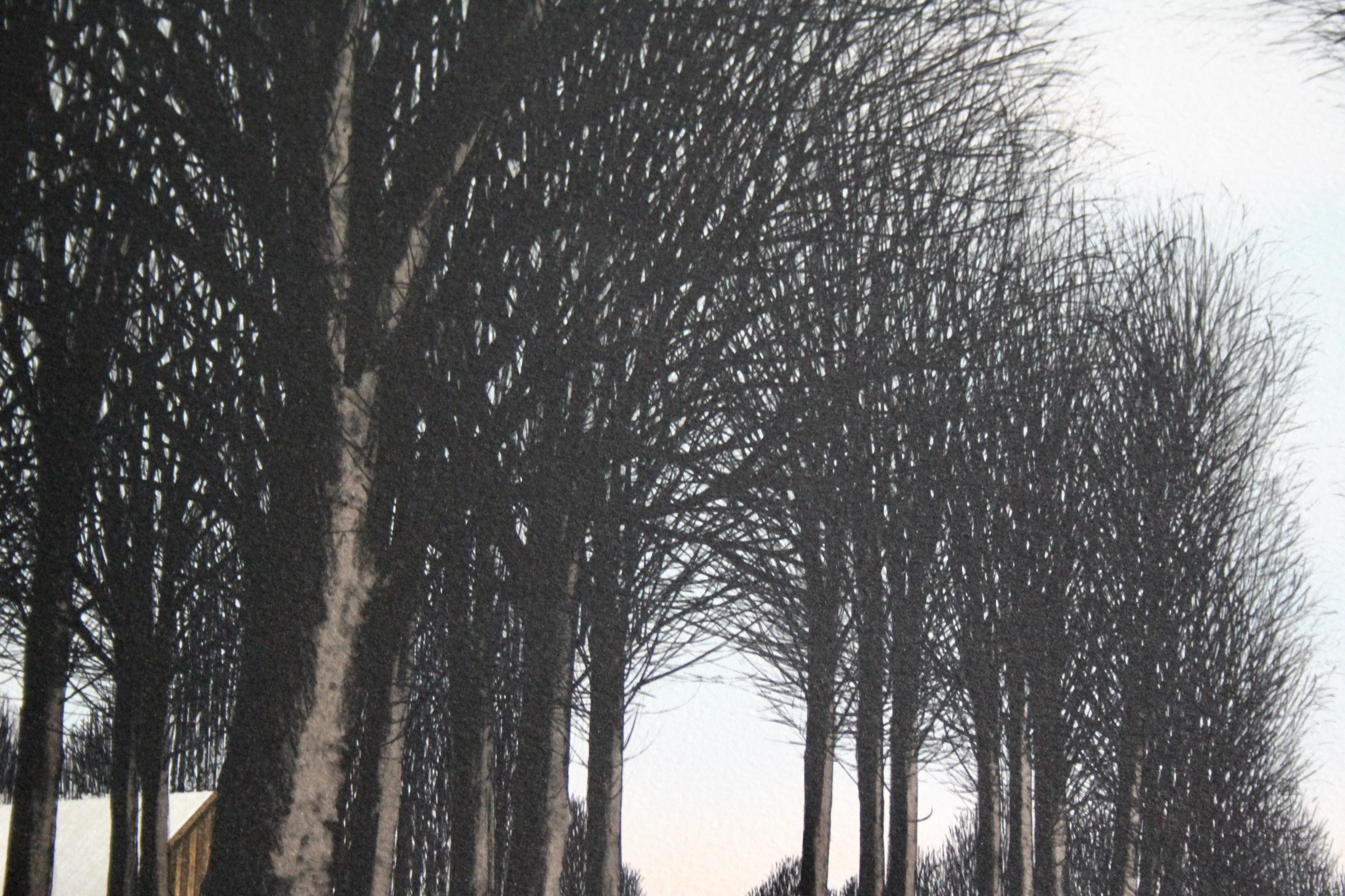 Jacques deperthes litografia circa 1970 in vendita 3