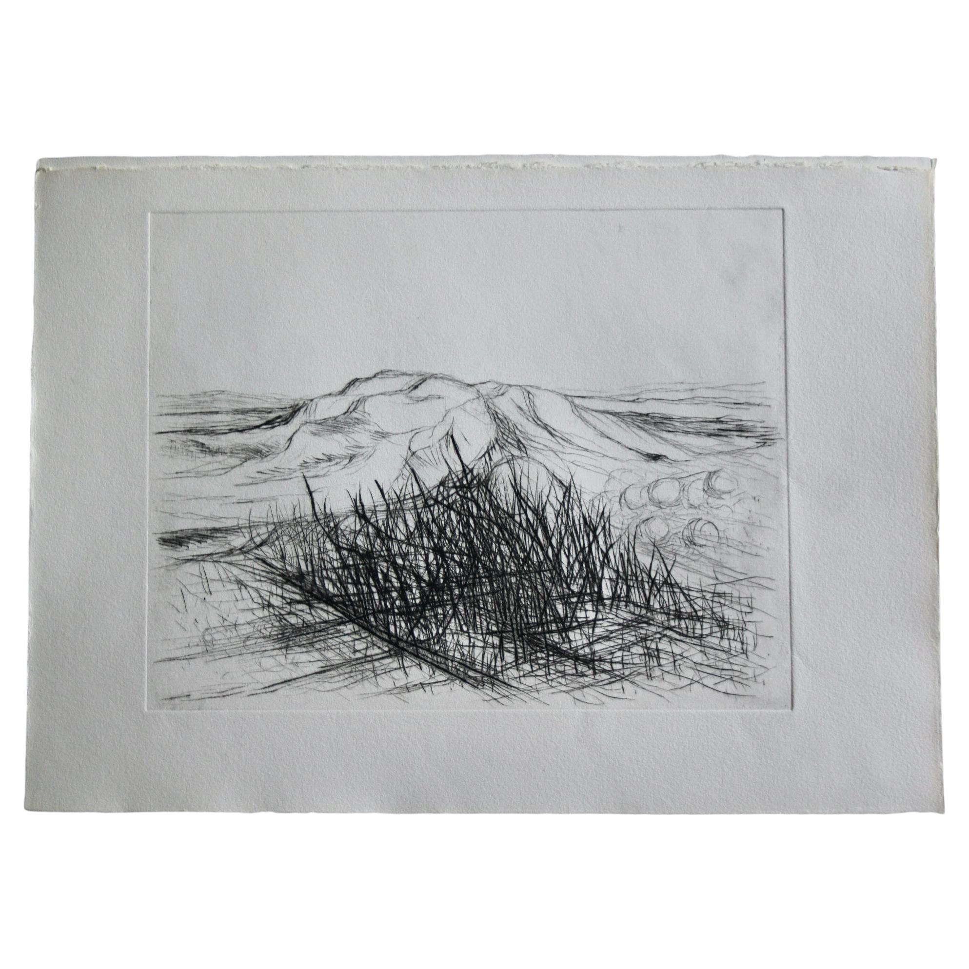 Jacques deperthes lithographie circa 1970