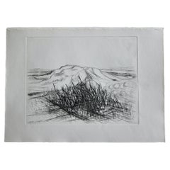 Jacques deperthes lithographie circa 1970