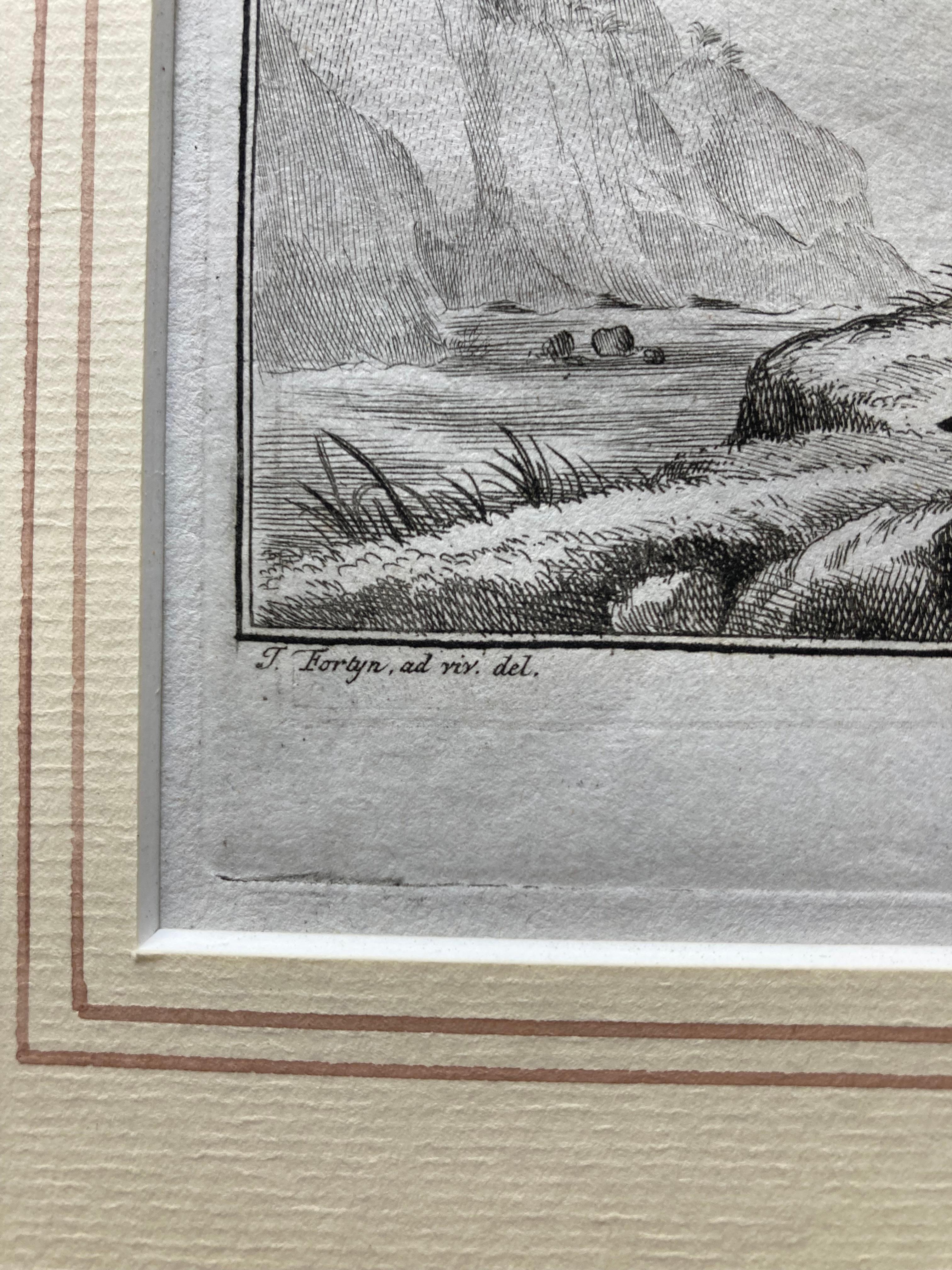 Impressions pour lui et pour elle, paire de  Gravures du XVIIIe siècle représentant des tapirs mâles et femelles en vente 10