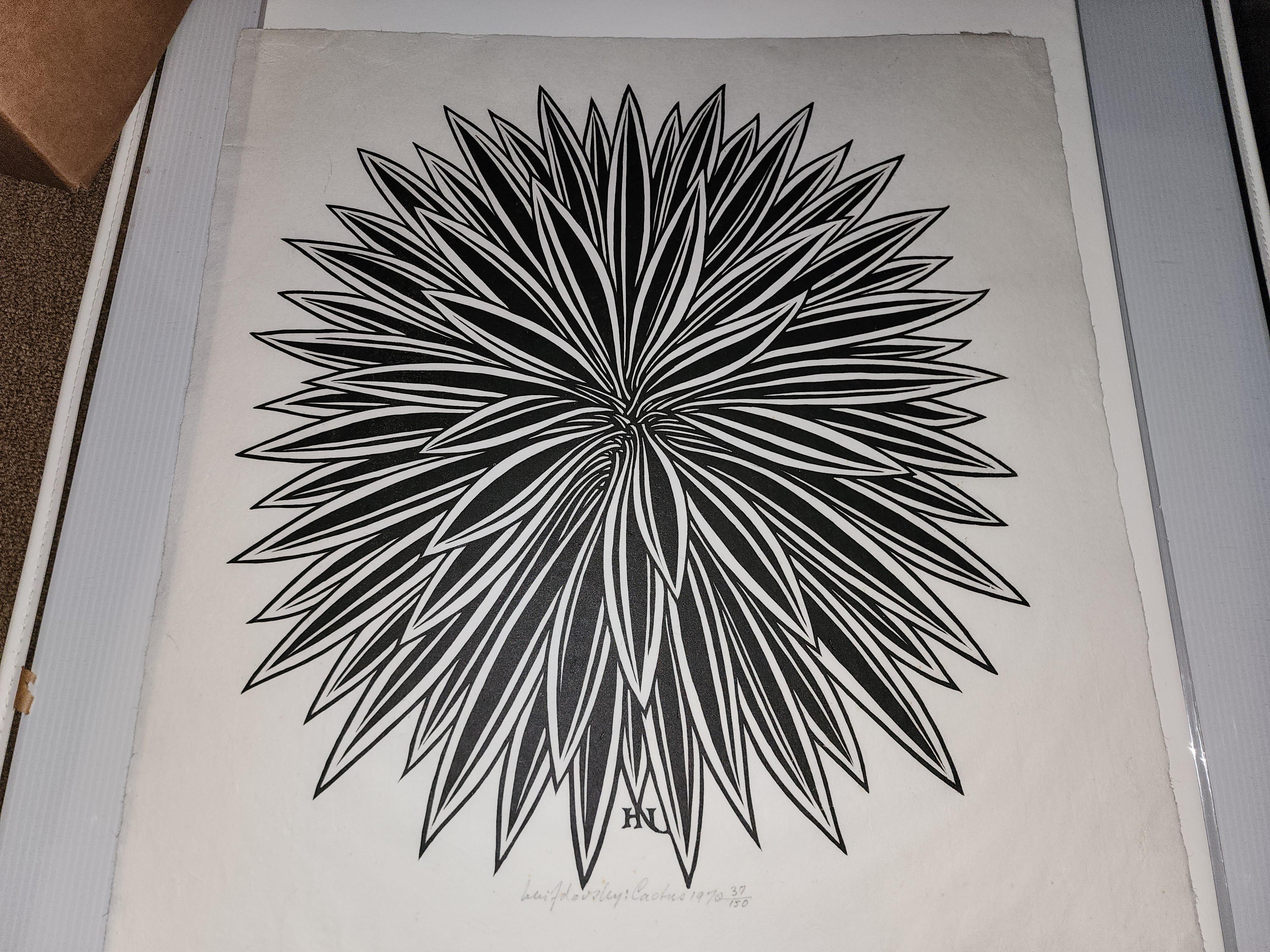 Kaktus – Print von Jacques Hnizdovsky