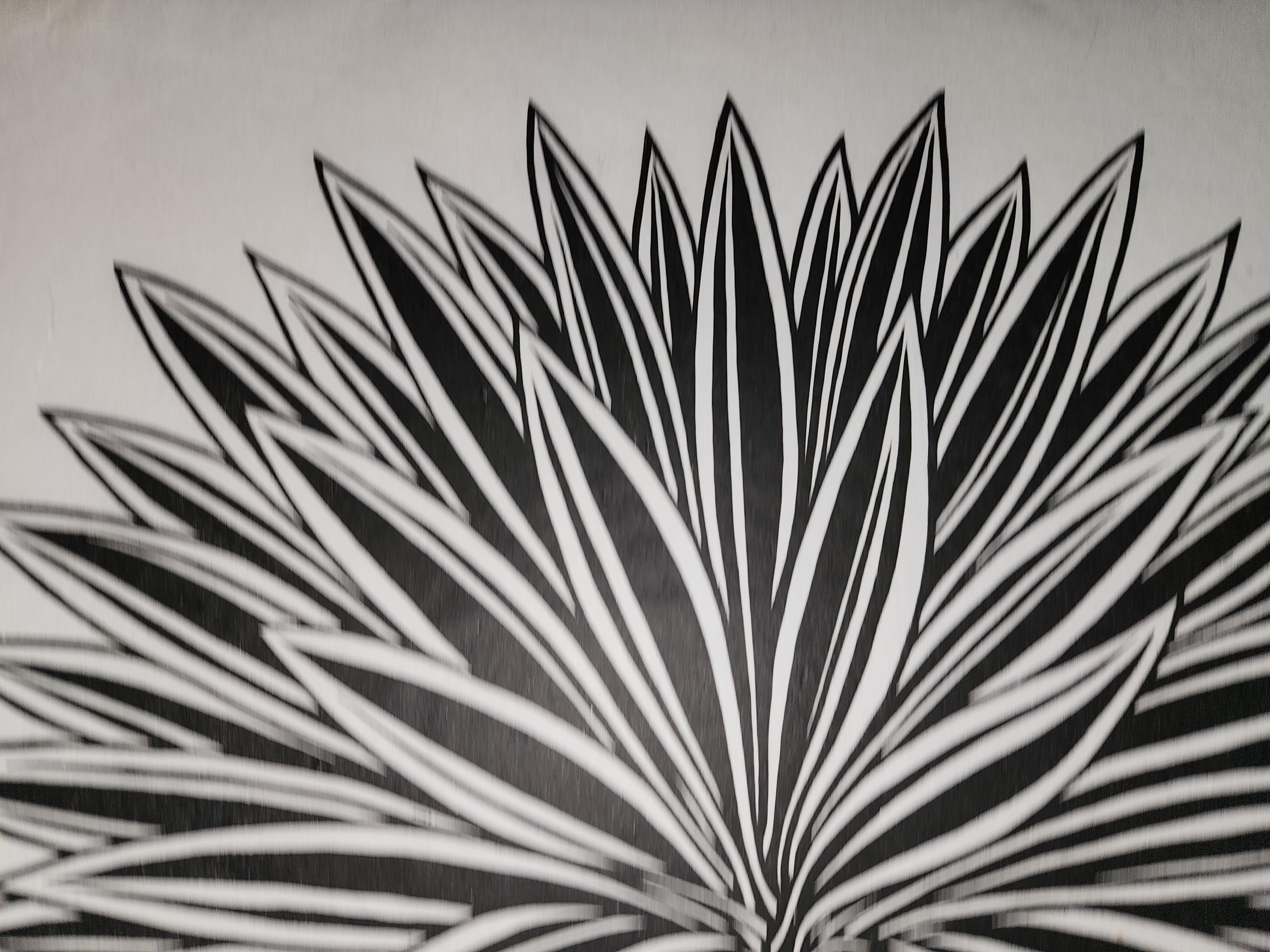 Kaktus (Grau), Still-Life Print, von Jacques Hnizdovsky