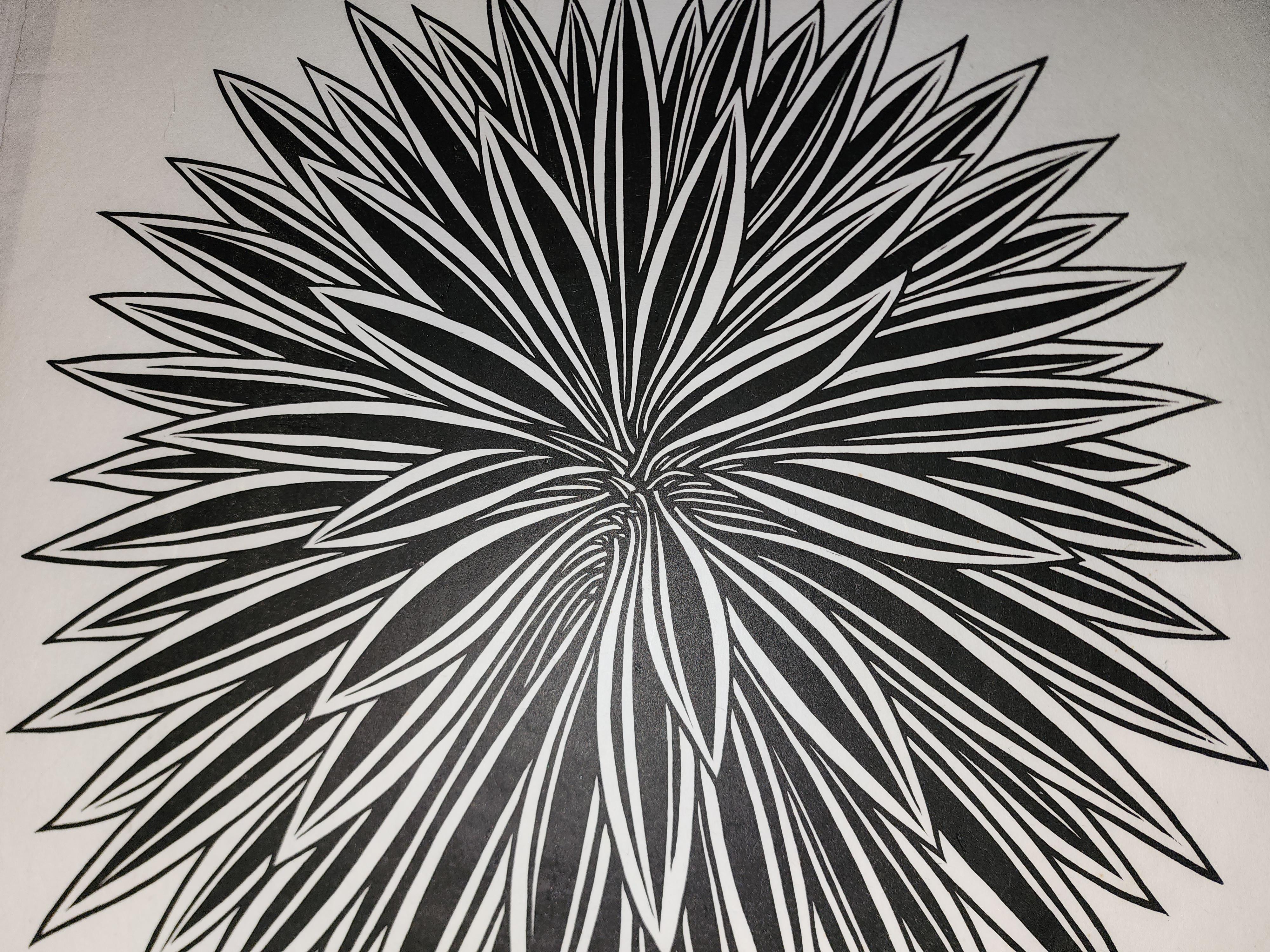Cactus - Gray Still-Life Print by Jacques Hnizdovsky