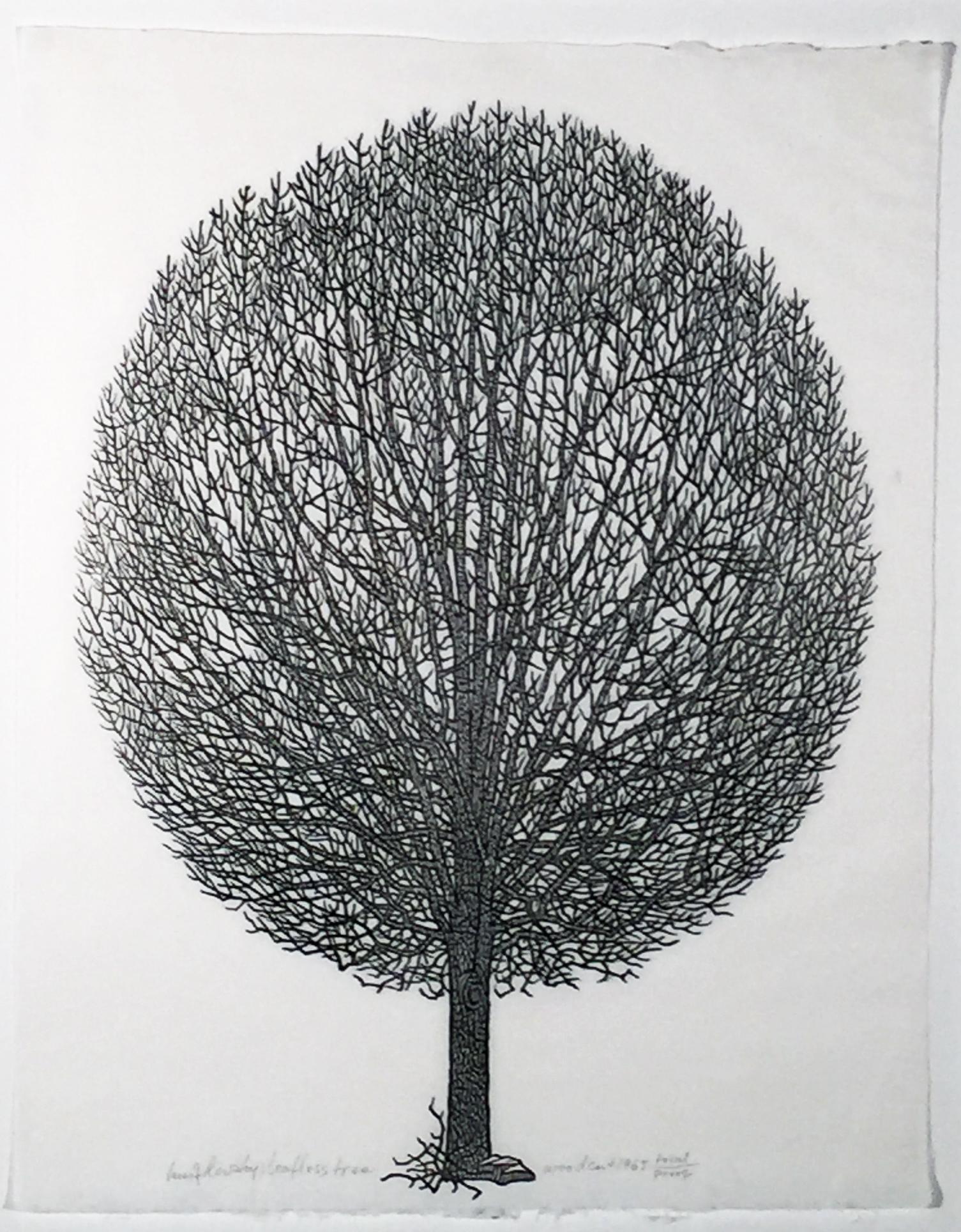 Jacques Hnizdovsky Landscape Print – BLATTLOSER BAUM