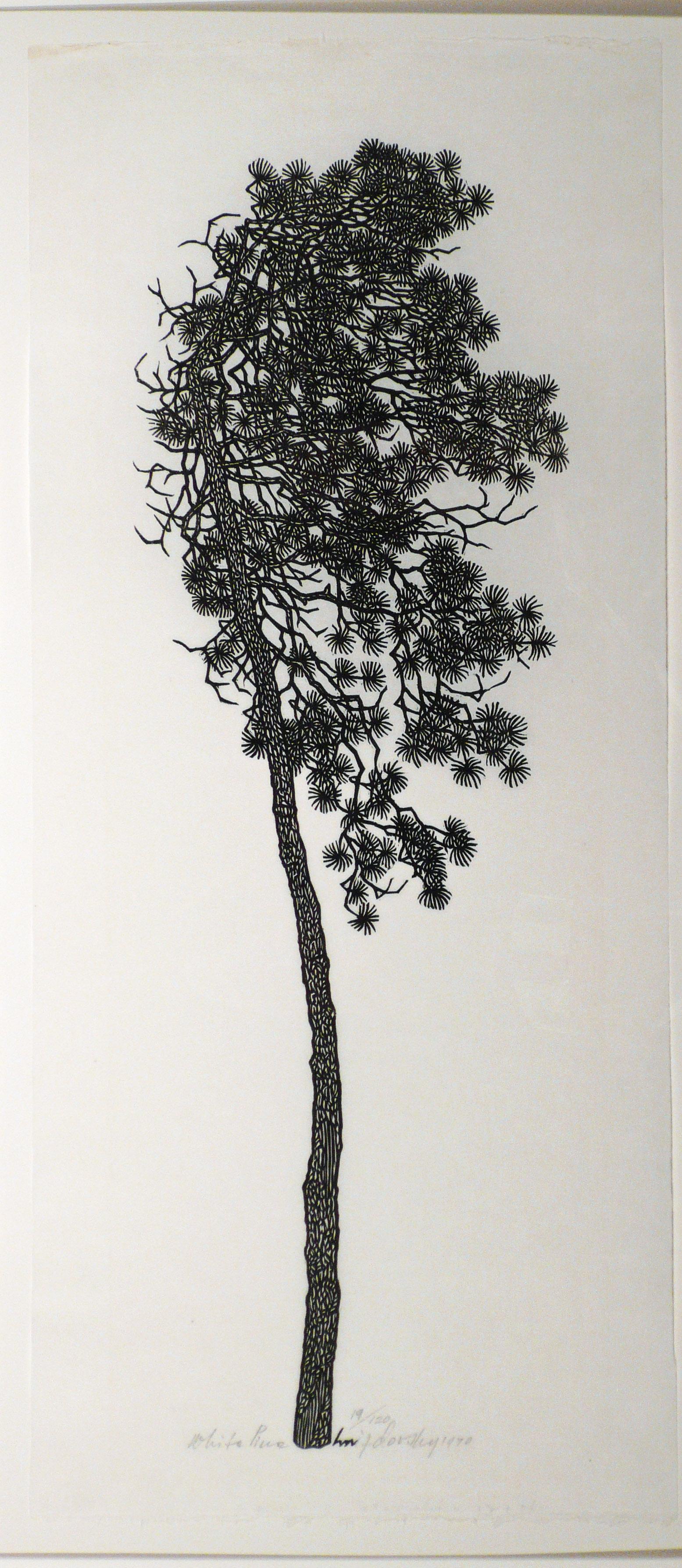 Jacques Hnizdovsky Landscape Print - WHITE PINE