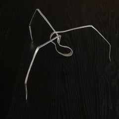 Spider #1 in aluminum