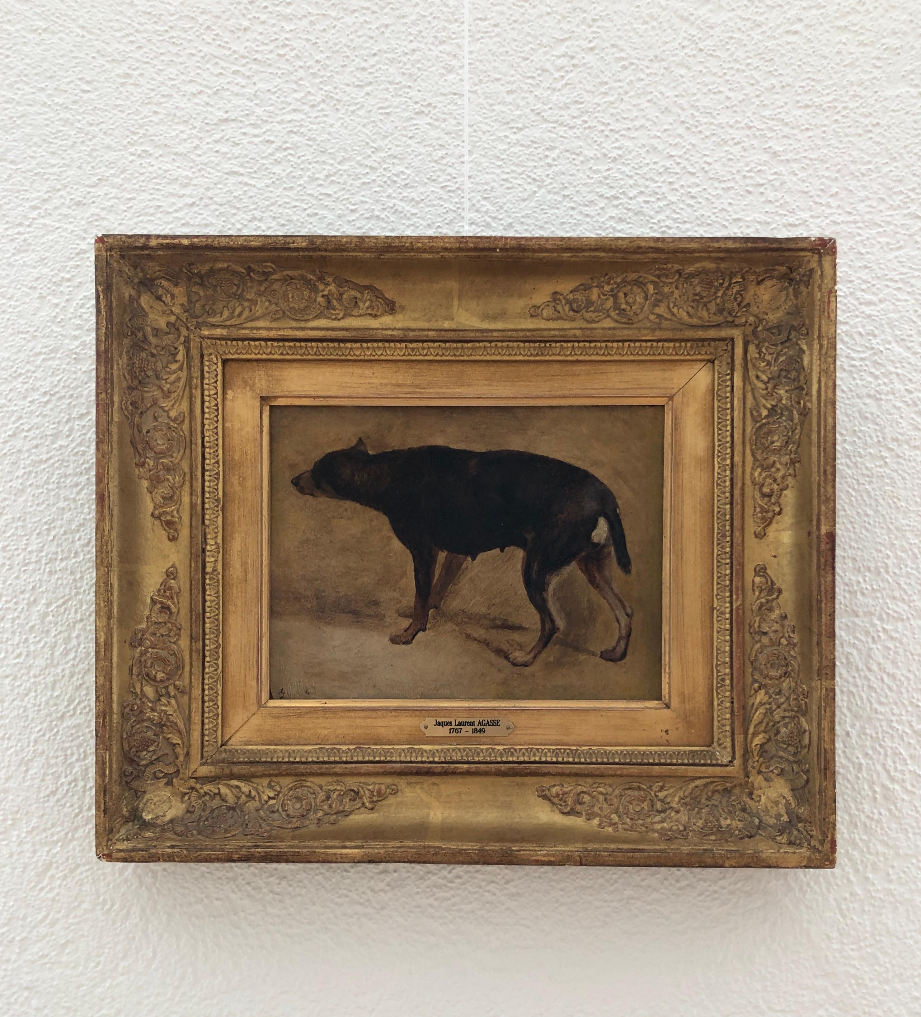 Dog study - Painting by Jacques-Laurent Agasse