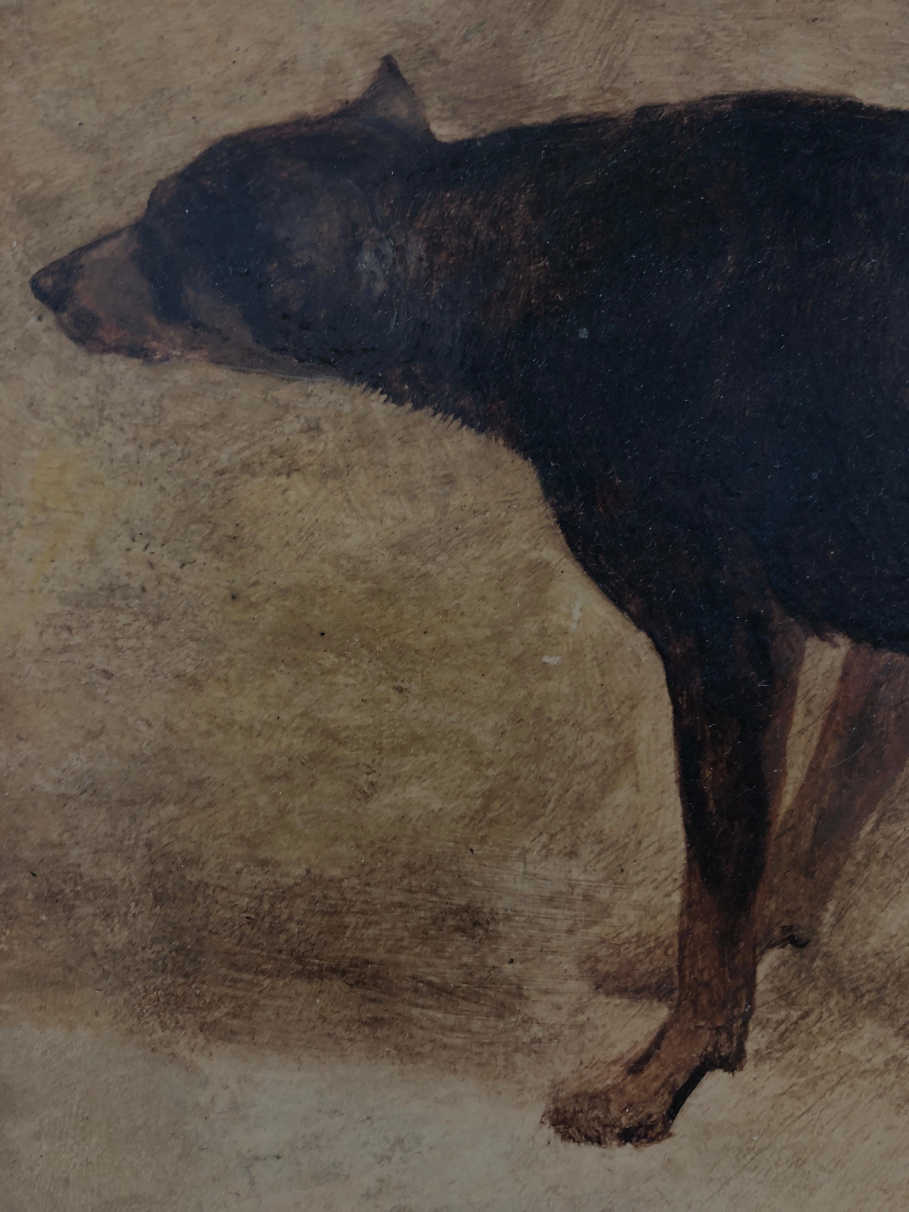 medieval paintings of dogs
