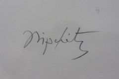 The Bull and the Condor