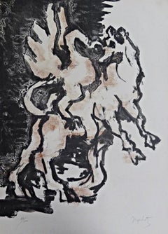 Il toro e il condor