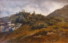 Mountain landscape 19th ODIER Swiss realist painting sketch