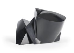 Anakio by Jacques Owczarek - Animal bronze black sculpture of a frog, geometric