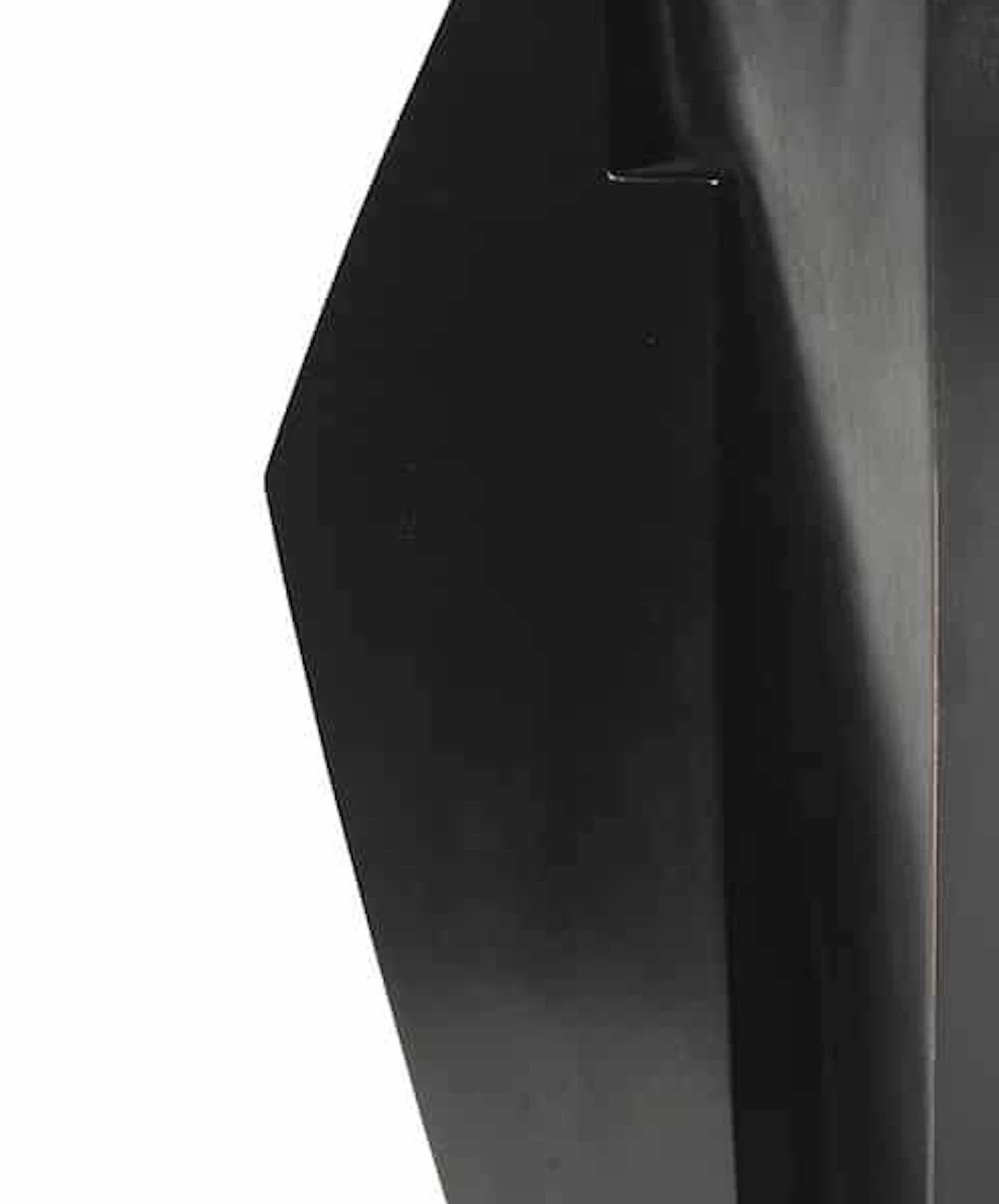 Kiomba by Jacques Owczarek - Animal bronze black sculpture of a lion, smooth im Angebot 2