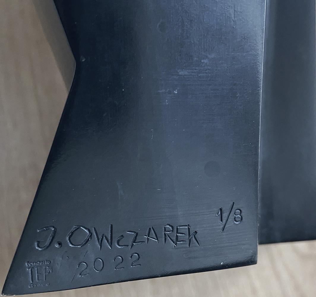 Melkior de Jacques Owczarek - Escultura contemporánea de bronce, caballo, animal en venta 4