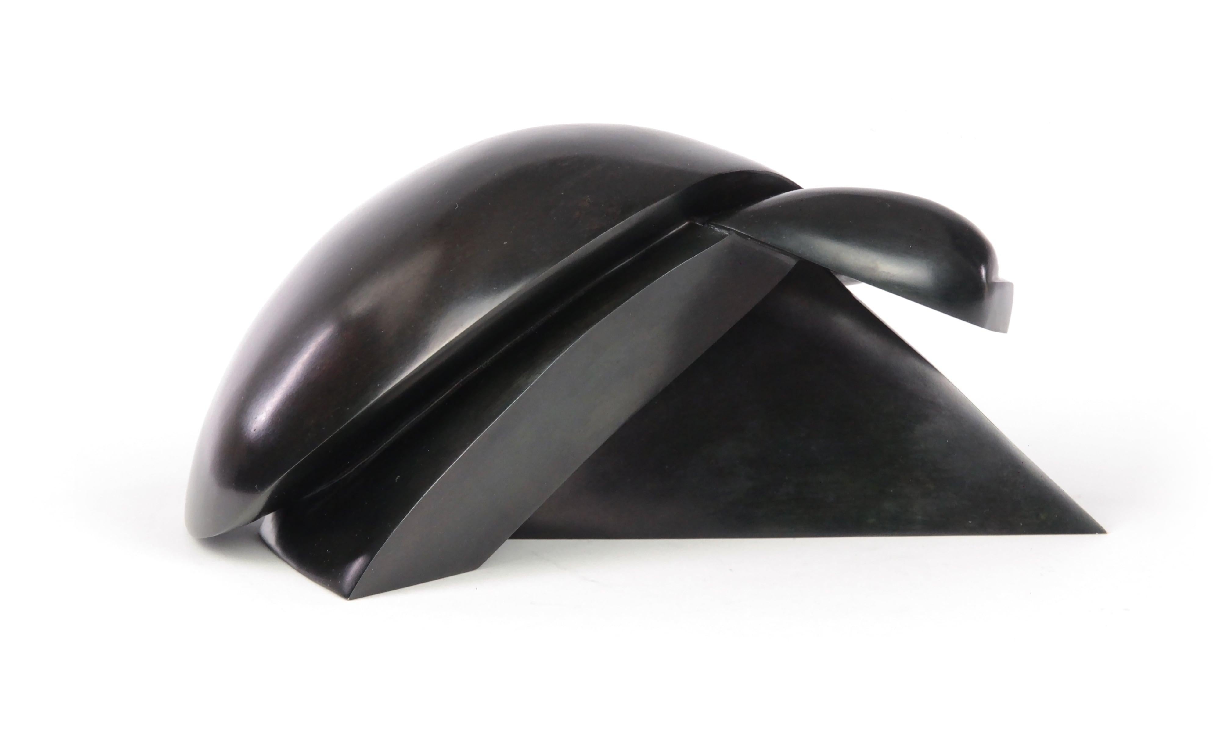 Takioaka by Jacques Owczarek - Animal bronze black sculpture of a turtle For Sale 4