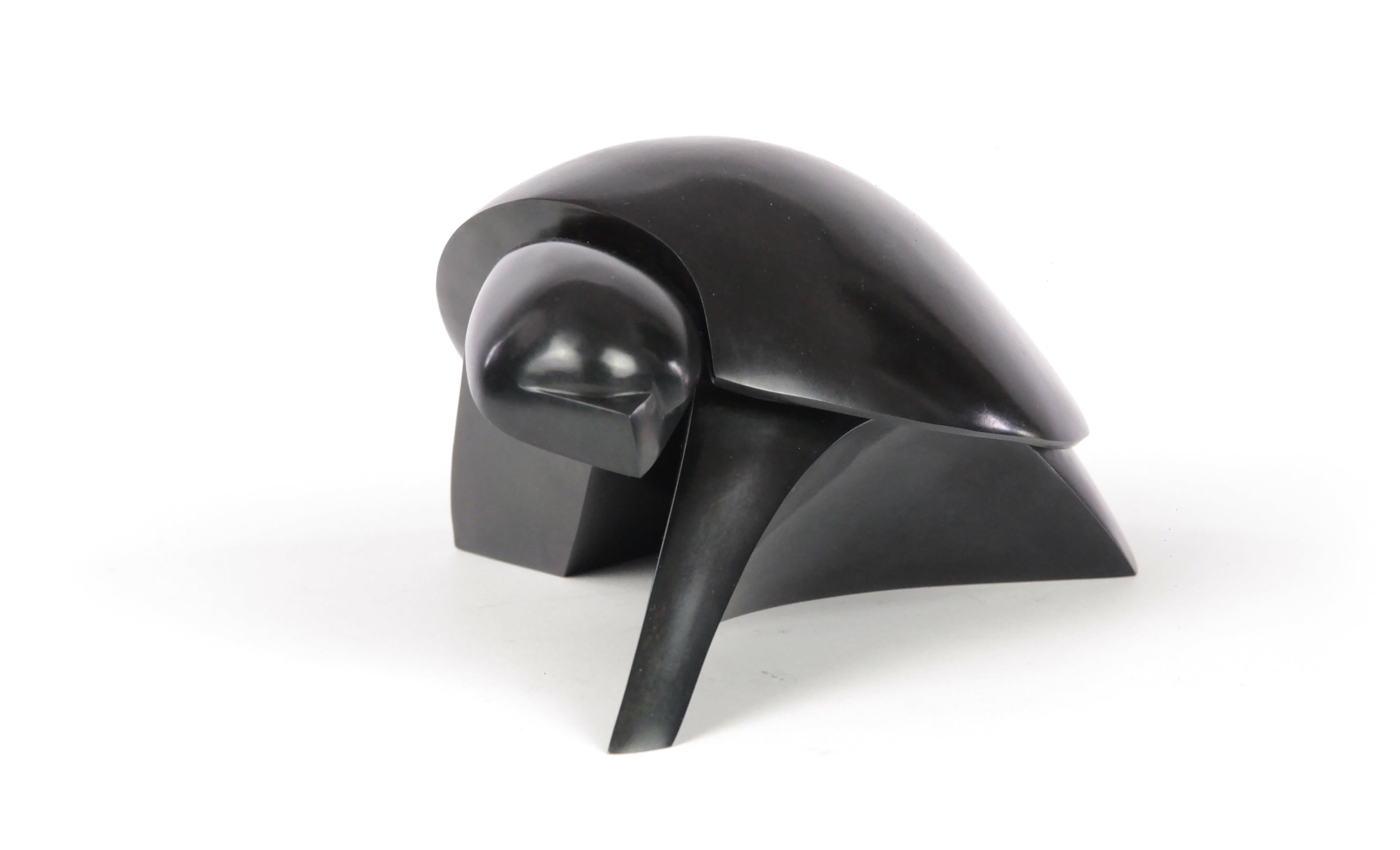 Takioaka by Jacques Owczarek - Animal bronze black sculpture of a turtle For Sale 6