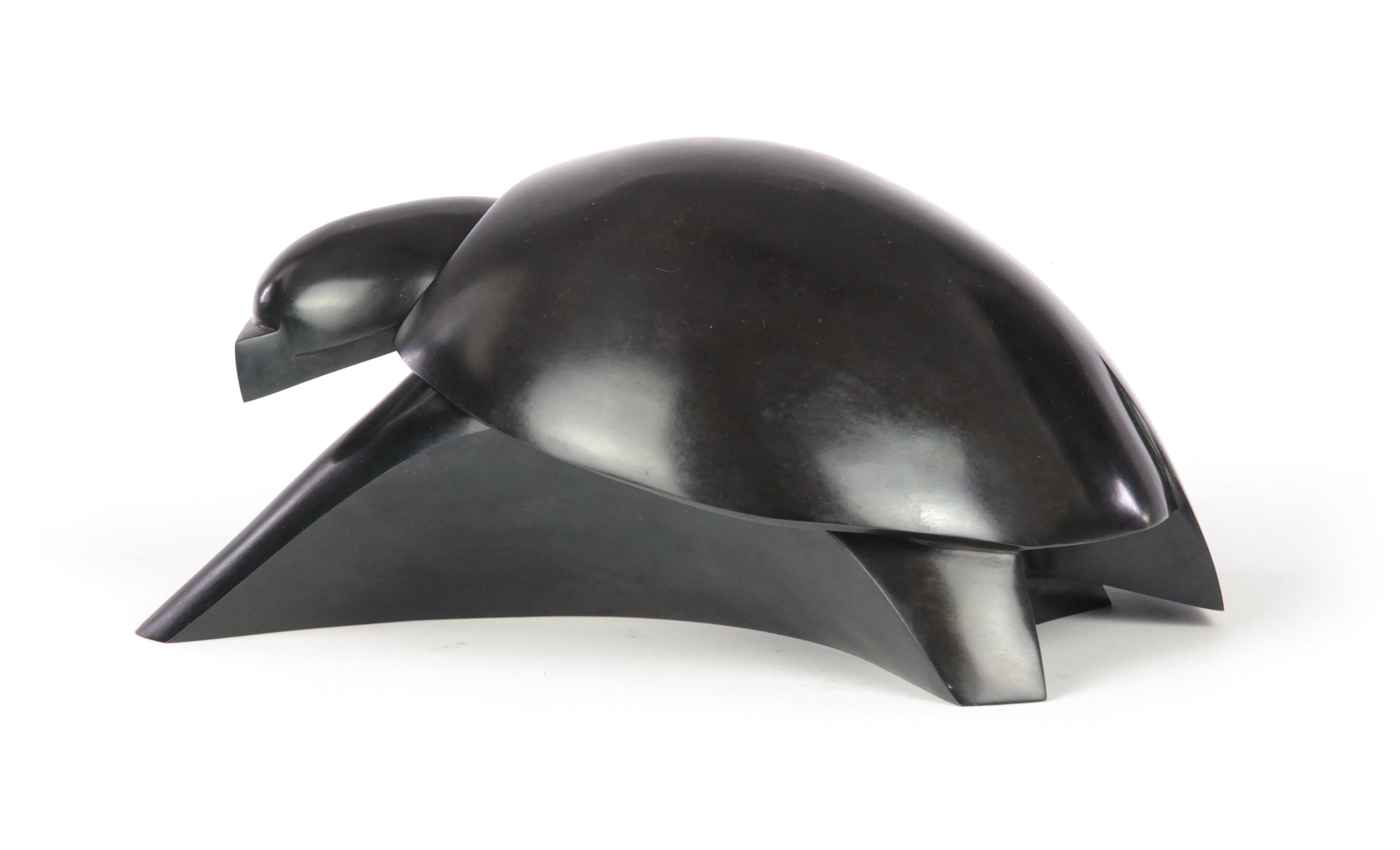 Takioka ist eine Skulptur des französischen zeitgenössischen Künstlers Jacques Owczarek.
Diese Schildkröte aus Bronze nimmt durch eine Reihe von Linien, Kanten und Kurven Gestalt an. 
Jacques Owczarek entdeckte die Bildhauerei im Alter von 30 Jahren