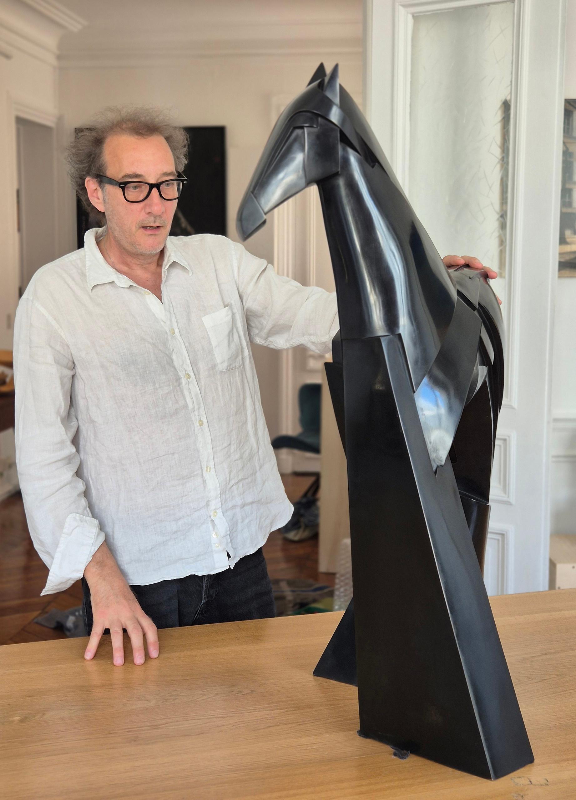 Xsakioro di Jacques Owczarek - Scultura animale in bronzo nero di un cavallo liscio in vendita 10