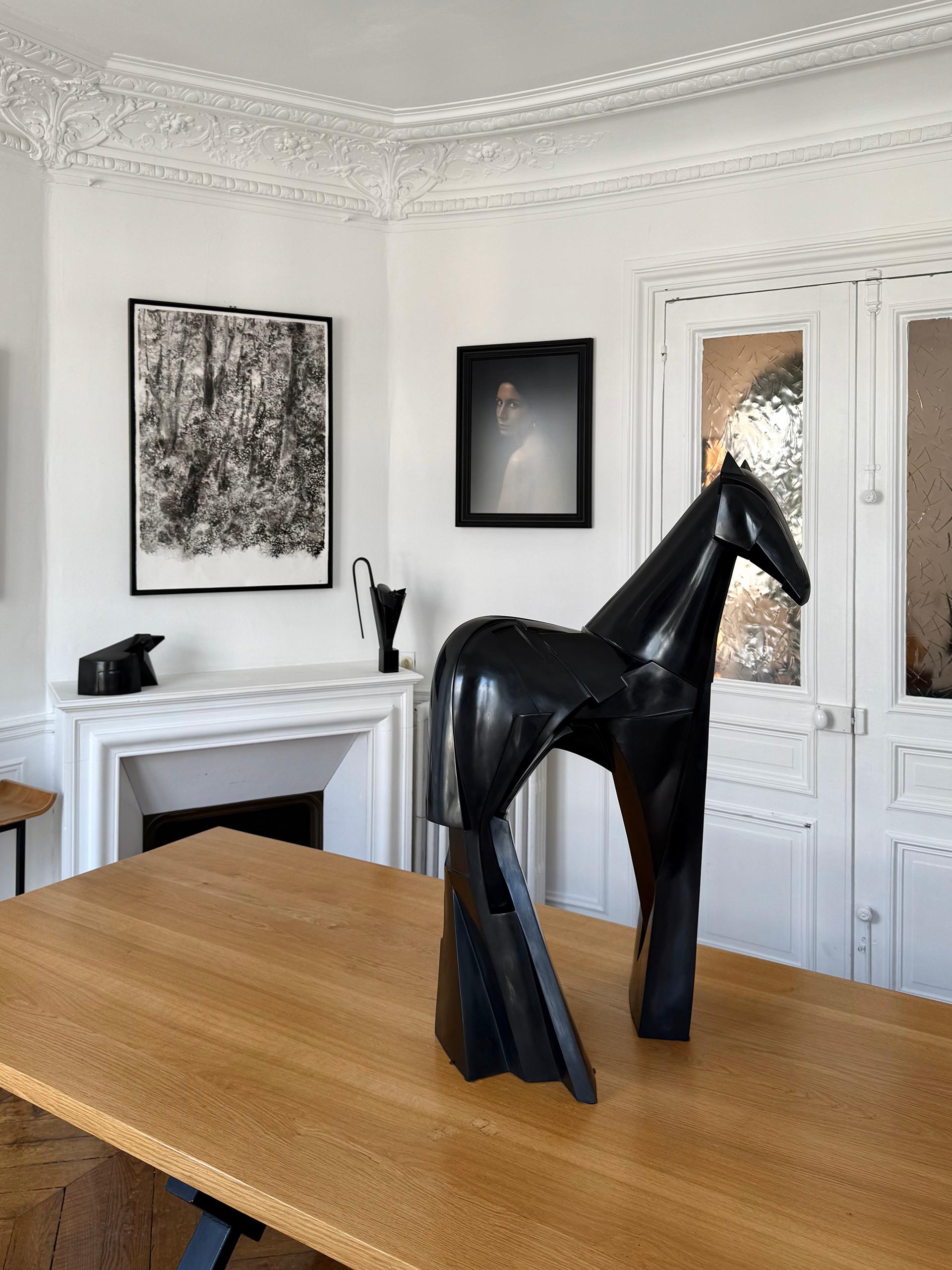 Xsakioro di Jacques Owczarek - Scultura animale in bronzo nero di un cavallo liscio in vendita 4