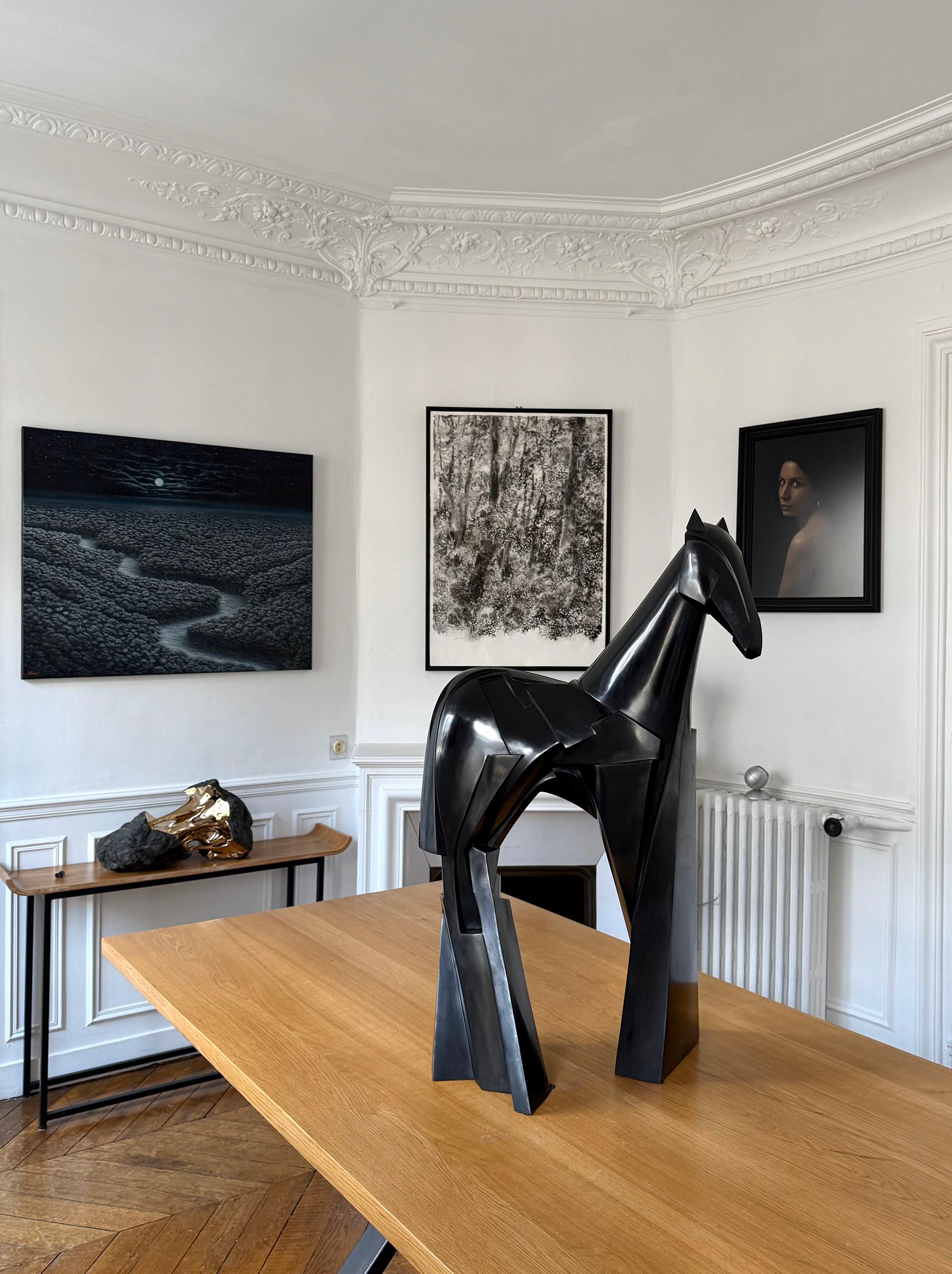 Xsakioro di Jacques Owczarek - Scultura animale in bronzo nero di un cavallo liscio in vendita 6