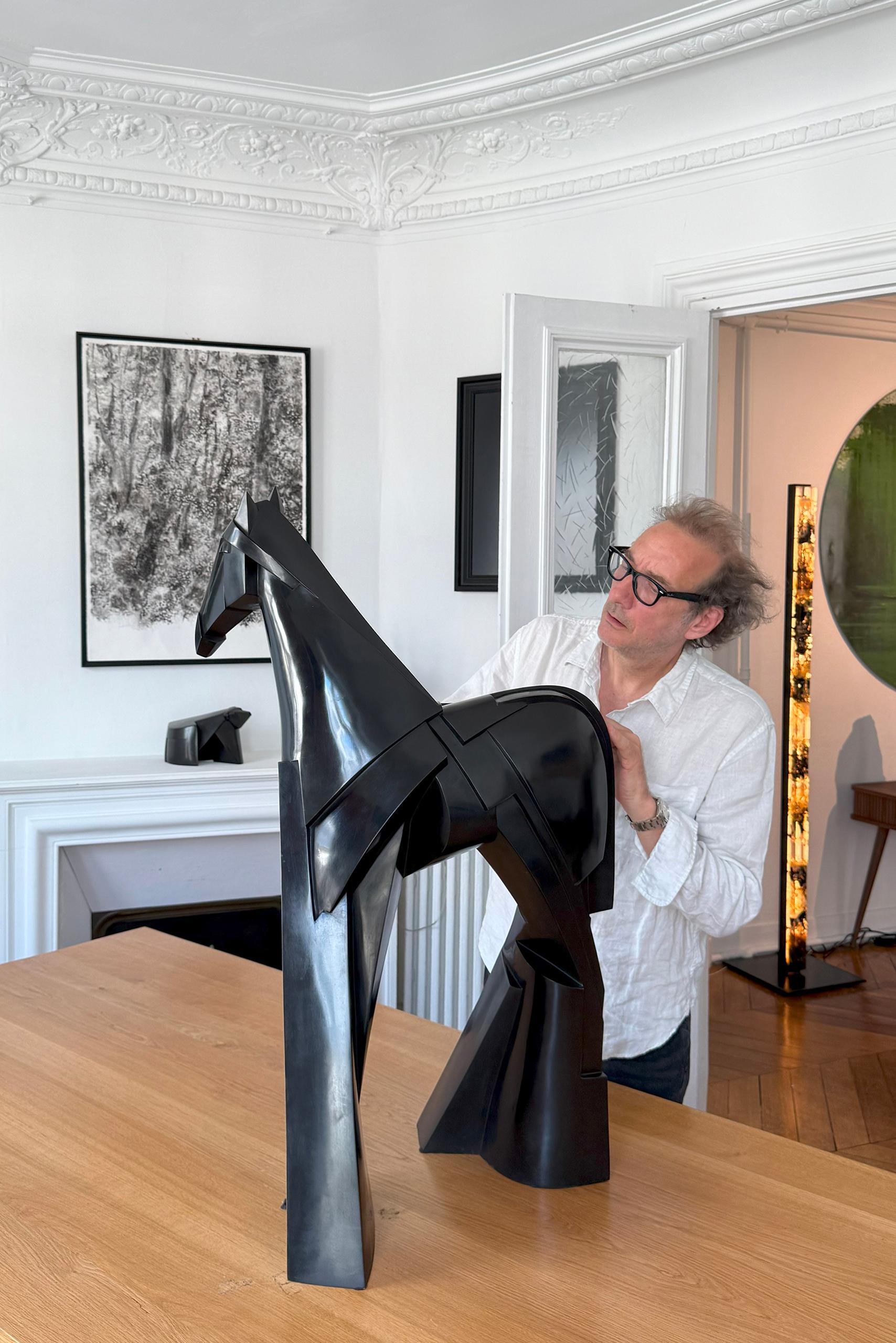 Xsakioro di Jacques Owczarek - Scultura animale in bronzo nero di un cavallo liscio in vendita 9