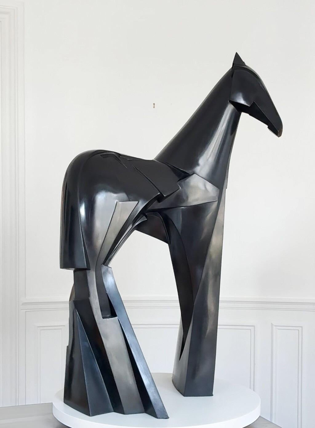 Xsakioro è una scultura in bronzo dell'artista contemporaneo Jacques Owczarek, le cui dimensioni sono 94 × 65 × 47 cm (37 × 25,6 × 18,5 pollici). 
La scultura è firmata e numerata, fa parte di un'edizione limitata di 8 edizioni + 4 prove d'artista e