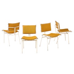 Dining Room Chairs