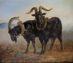 Team of goats