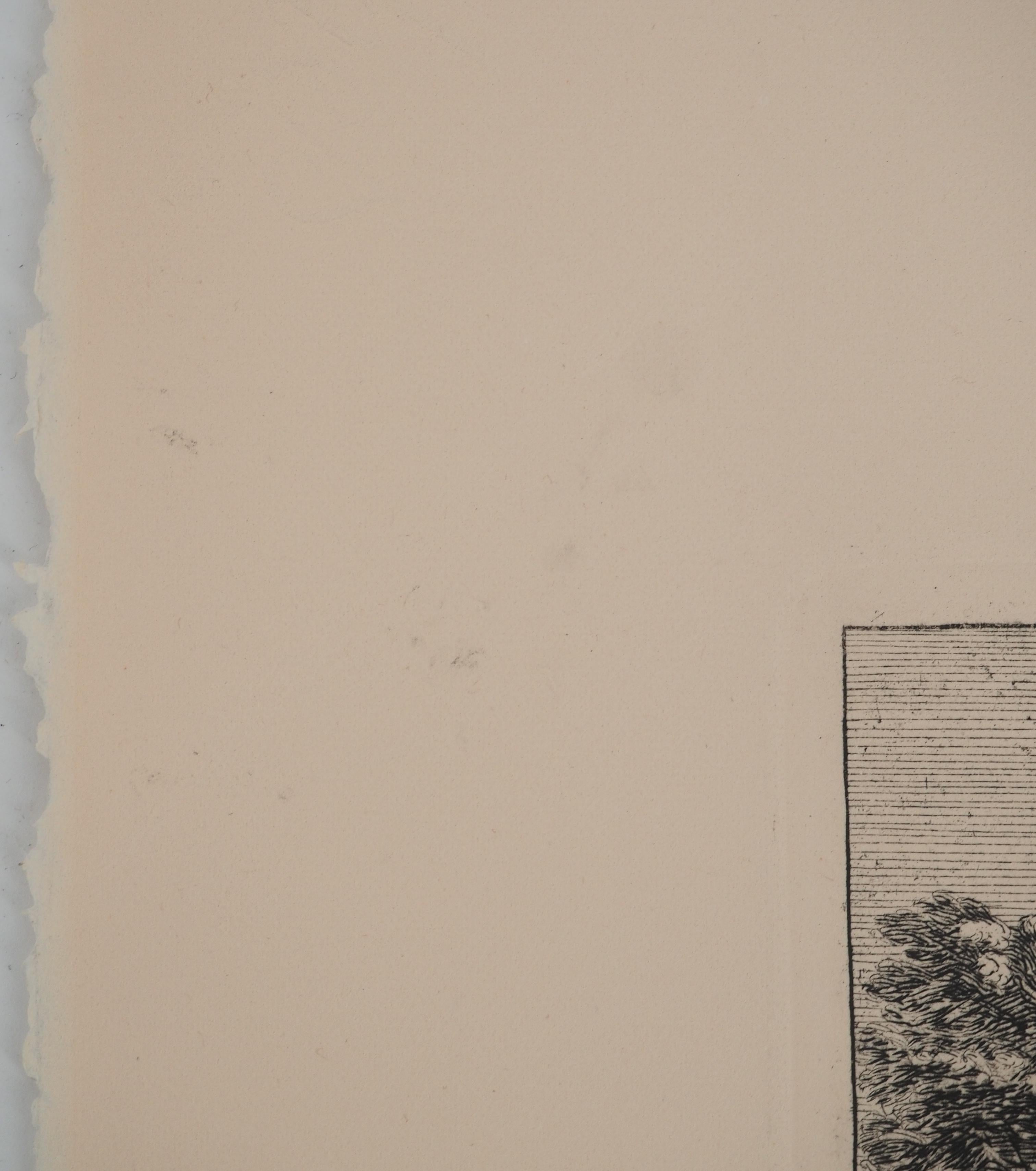 The Tuileries Palace : A Royal Residence - Original etching, Signed in vendita 3