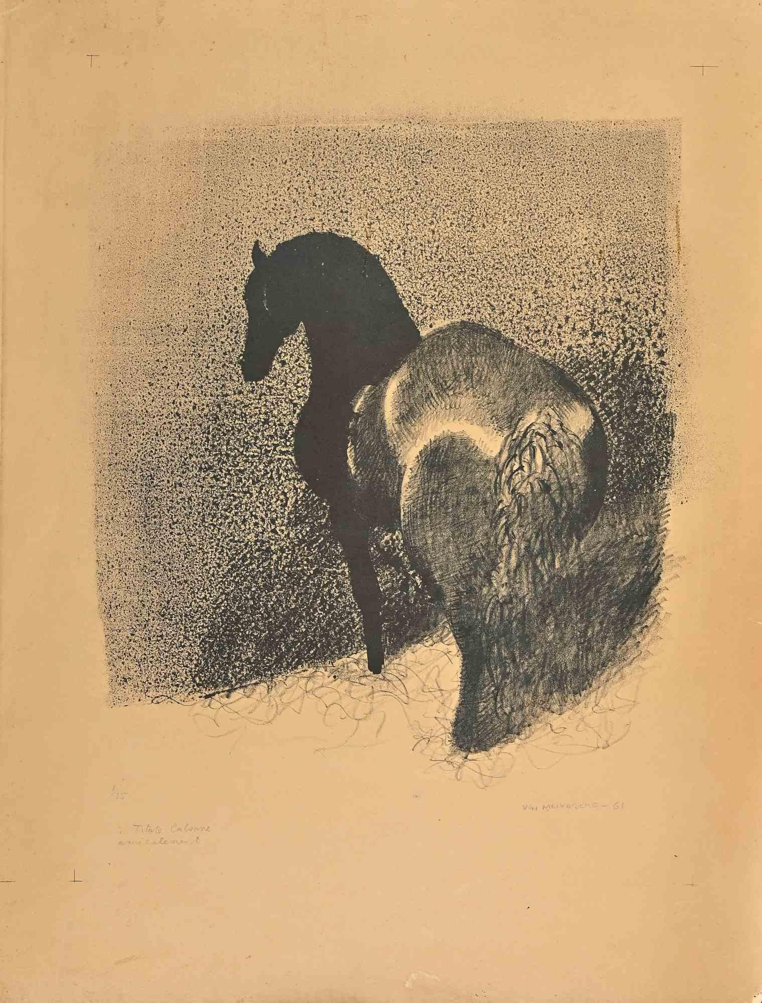 Horse – Lithographie von Jacques Van Melkebeke – 1961