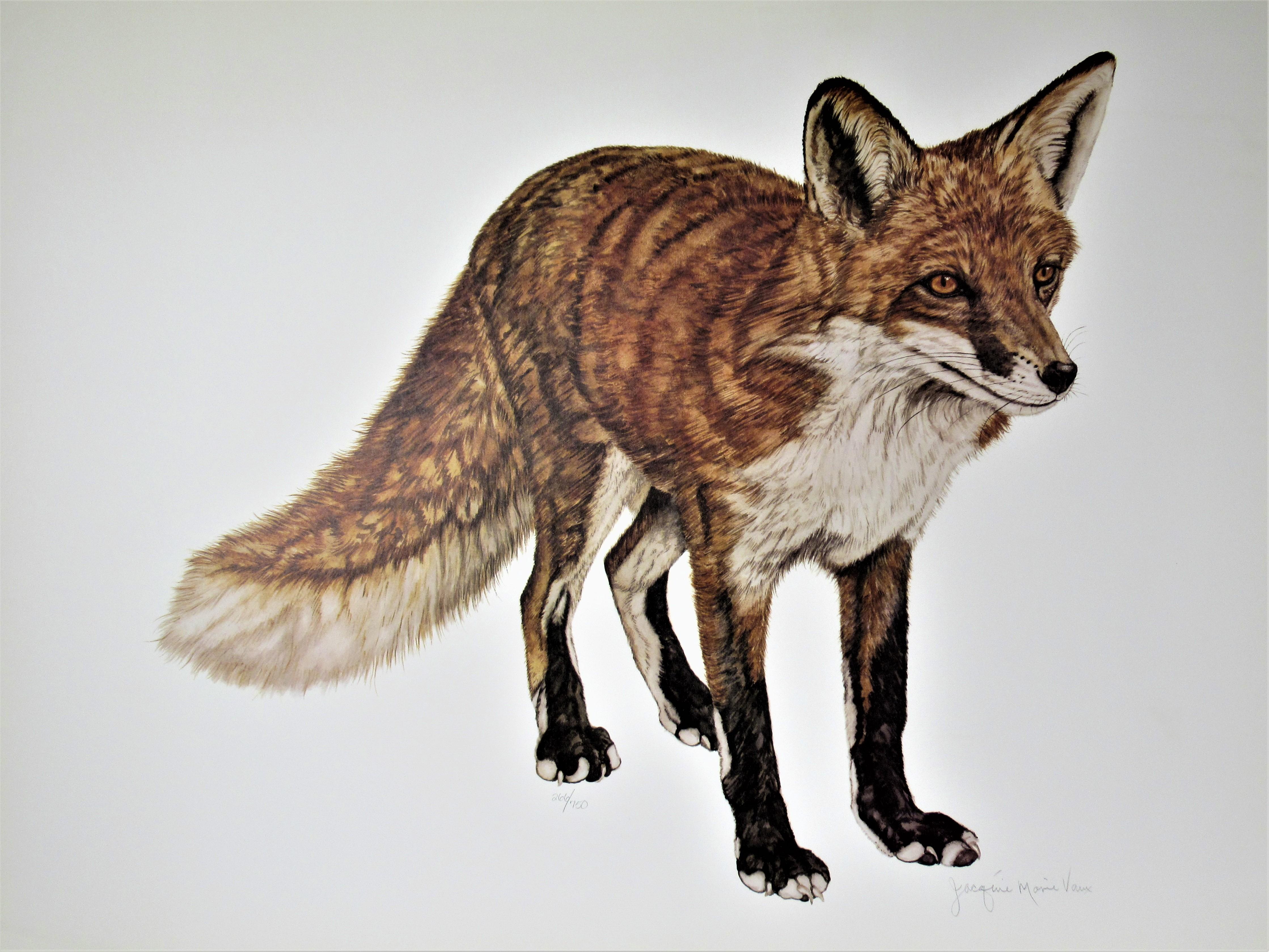 Jacquie Marie Vaux Animal Print - Fox