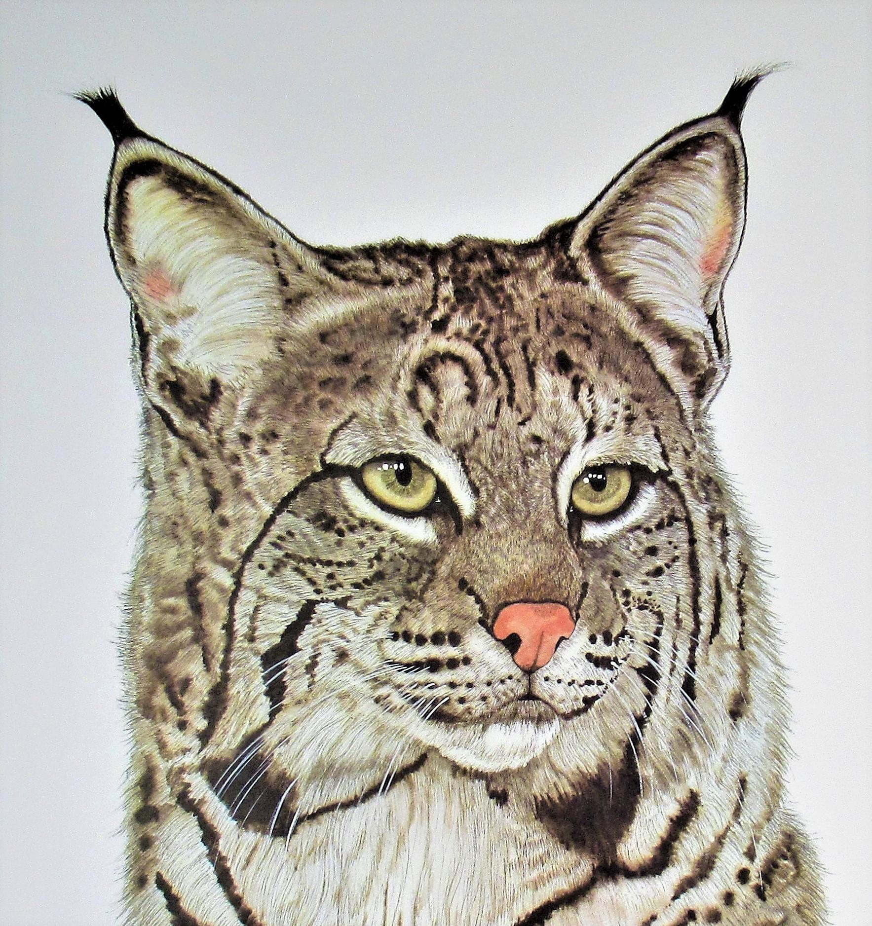 Gatto selvatico - Print di Jacquie Marie Vaux