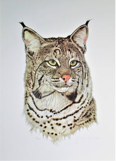 Gato salvaje