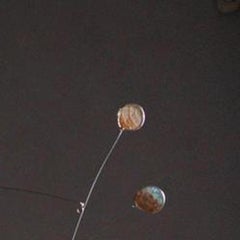 Skipping Stones in the River