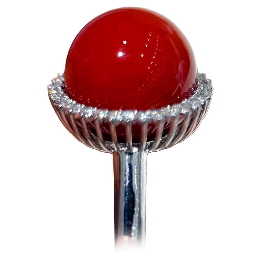 【Jādora】Sólo un anillo de platino con coral rojo y diamantes engastados en halo