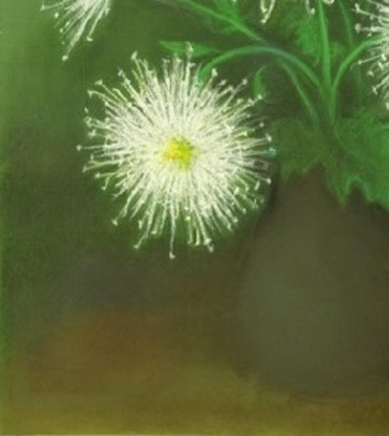 White asters. 1980's. Paper, pastel, 54x39 cm - Painting by Jadviga Zjilvinska 