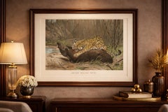 Jaguar Killing Tapir, Dramatic Antique Wildlife Print, Victorian Era, 1894