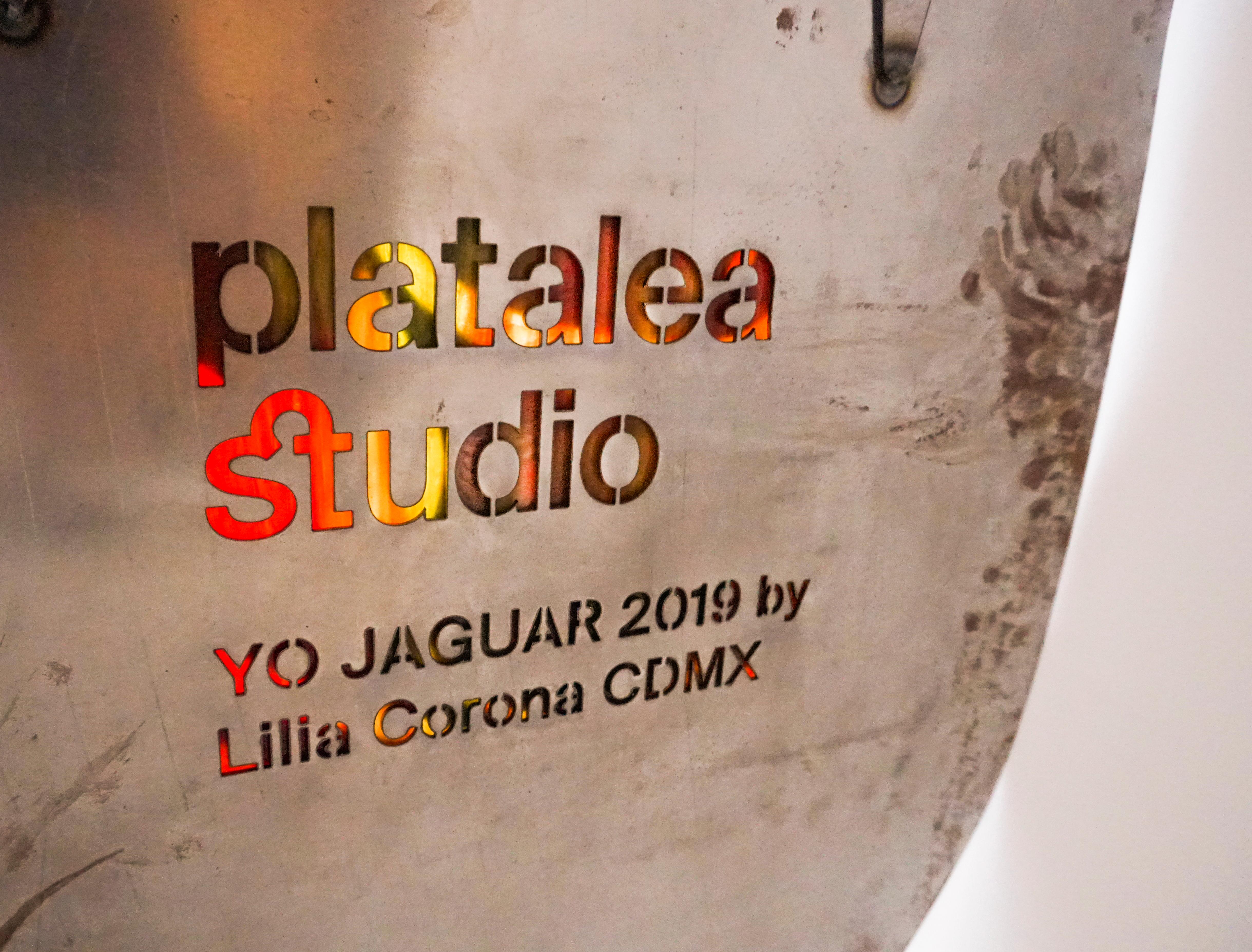 Jaguar-Spiegel von Lilia Cruz Corona Garduño (Mexikanisch) im Angebot
