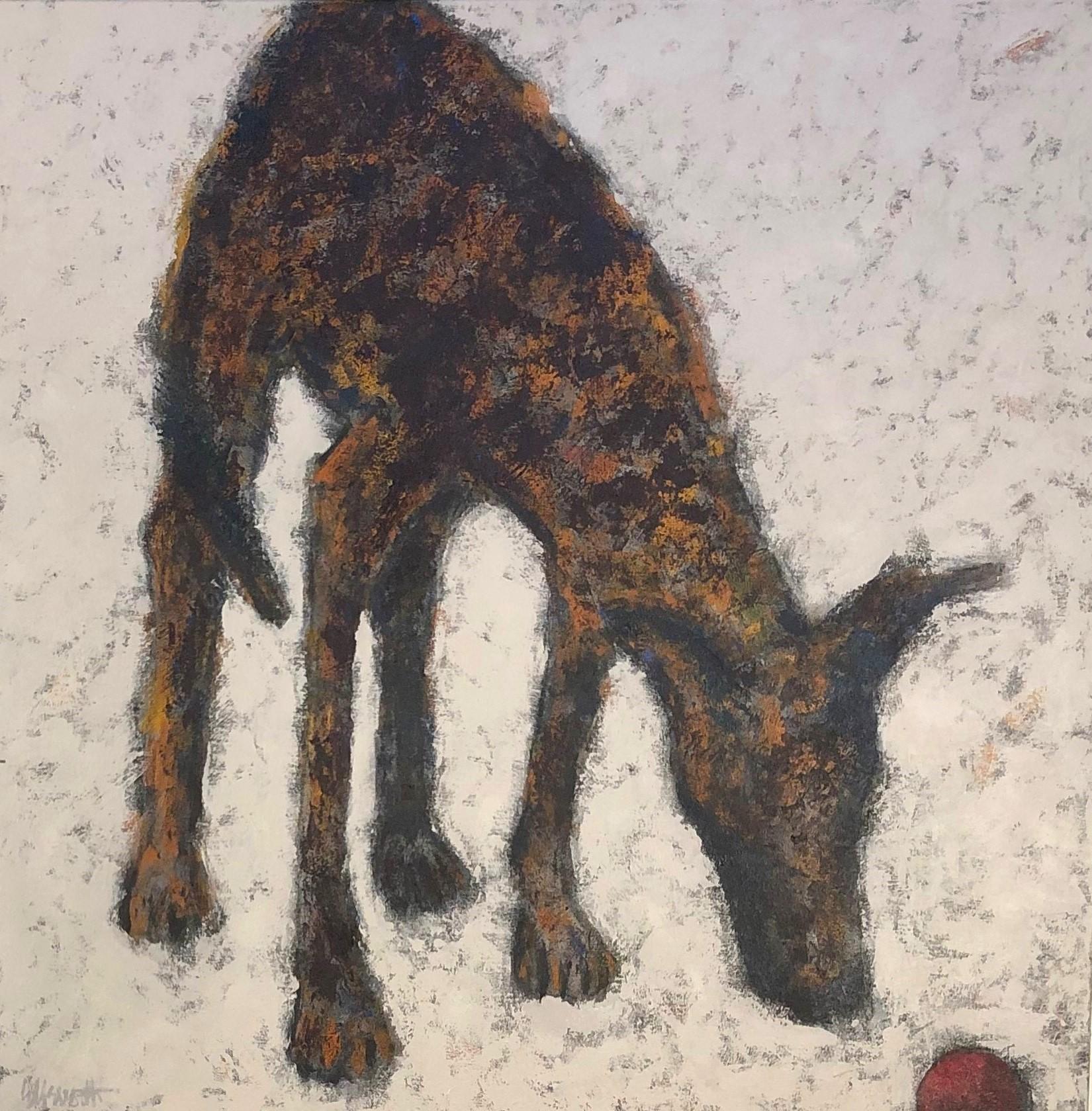 Coyote, Oil Painting - Art by Jaime Ellsworth